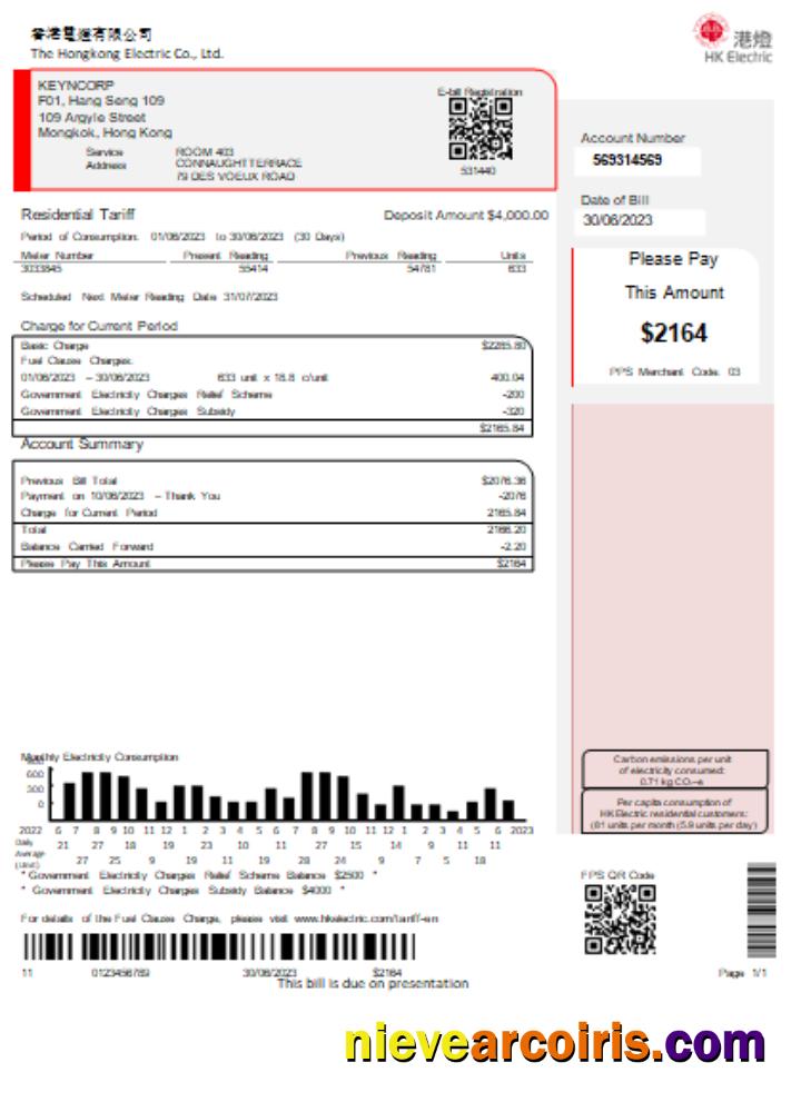 Hongkong Electric Company utility business bill